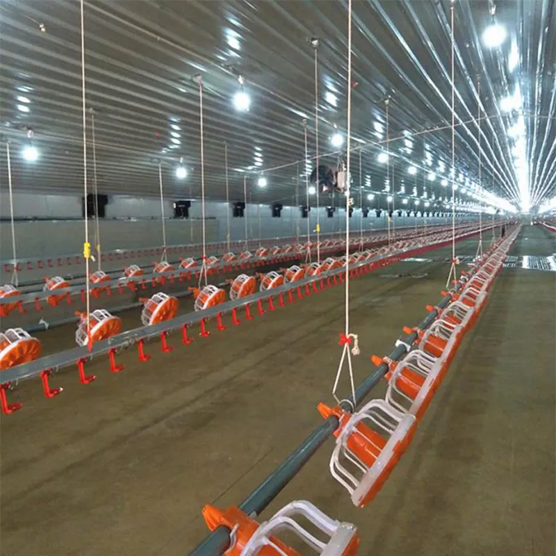 Автоматическое кормовое оборудование для бройлеров, напольная система для кур, 1,1 кВт (4)