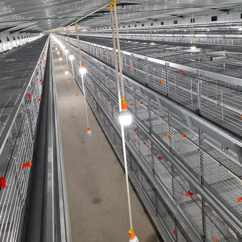 Клетка для бройлеров размером 1480&times;1750&times;440 мм (3)