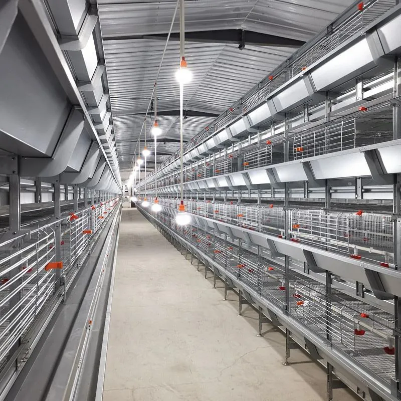 Клетка для бройлеров размером 1480&times;1750&times;440 мм (5)