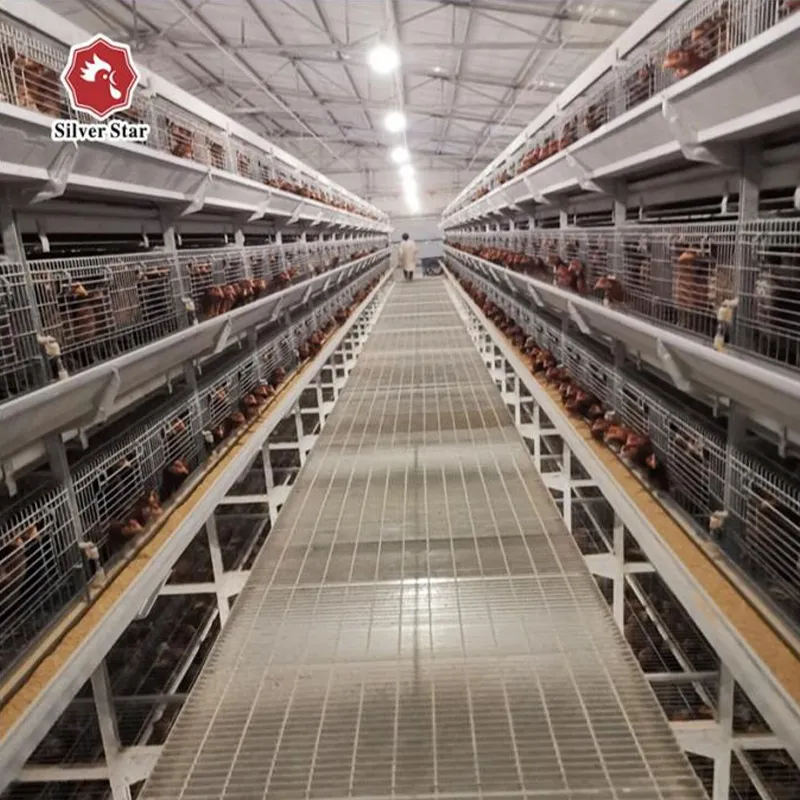 Клетка для кур-несушек размером 650&times;625&times;500 мм (3)