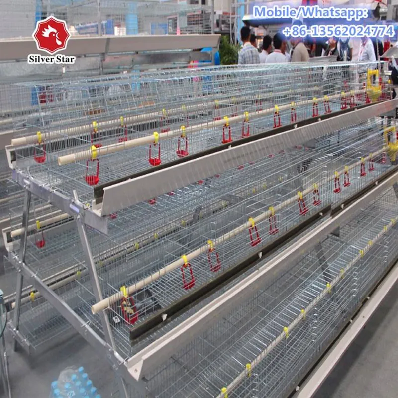 Клетка для цыплят на 40 000 голов (4)