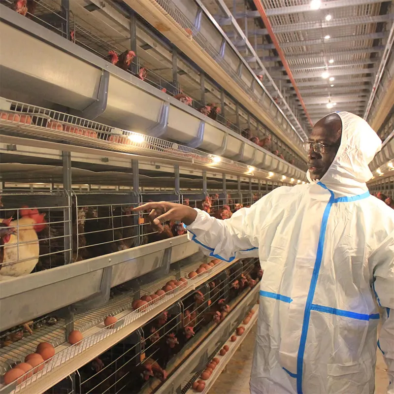 Усовершенствованная клетка для цыплят в возрасте 1 день (3&ndash;8 ярусов) для молодняка несушек (3)