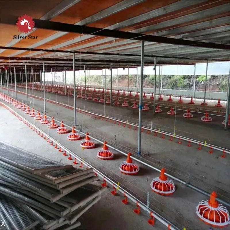 4 мкомпл. Оборудование для бройлеров (1)