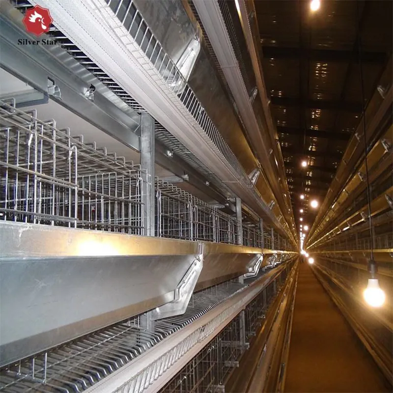 4-ярусная клетка для птицы (4)