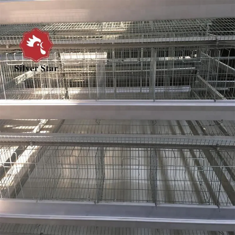 4-ярусная клетка для цыплят (5)