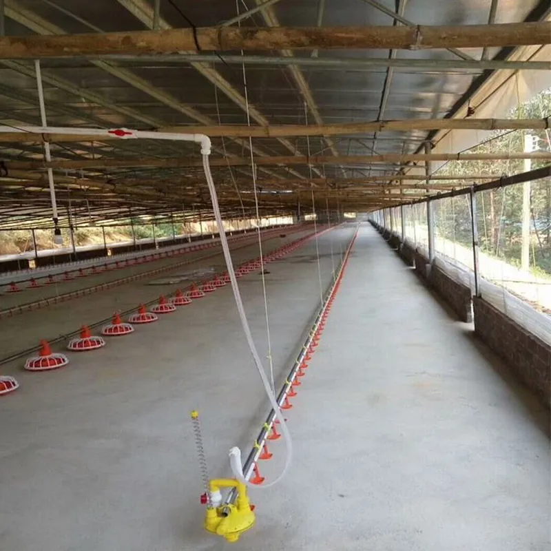 4 мкомпл. Оборудование для бройлеров (3)