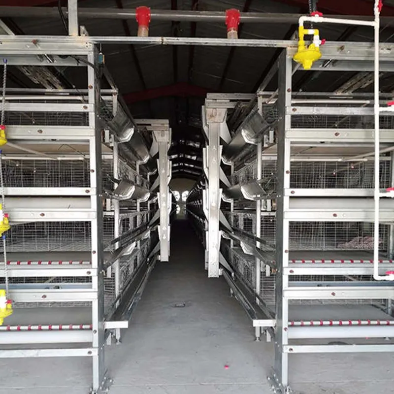 4-ярусная клетка для птицы (2)