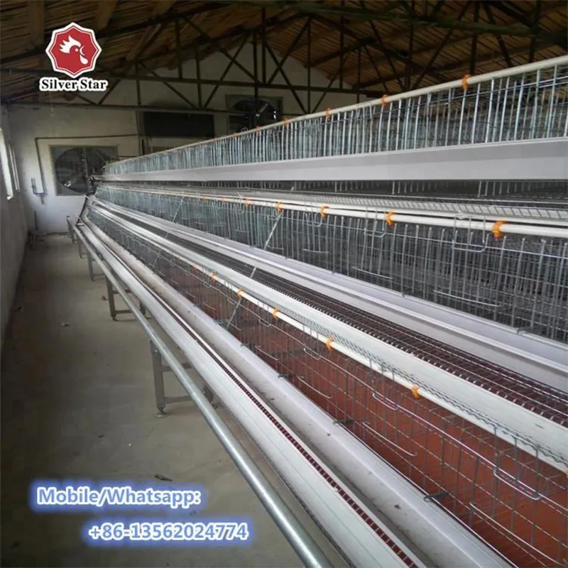 4-ярусная клетка для цыплят (3)