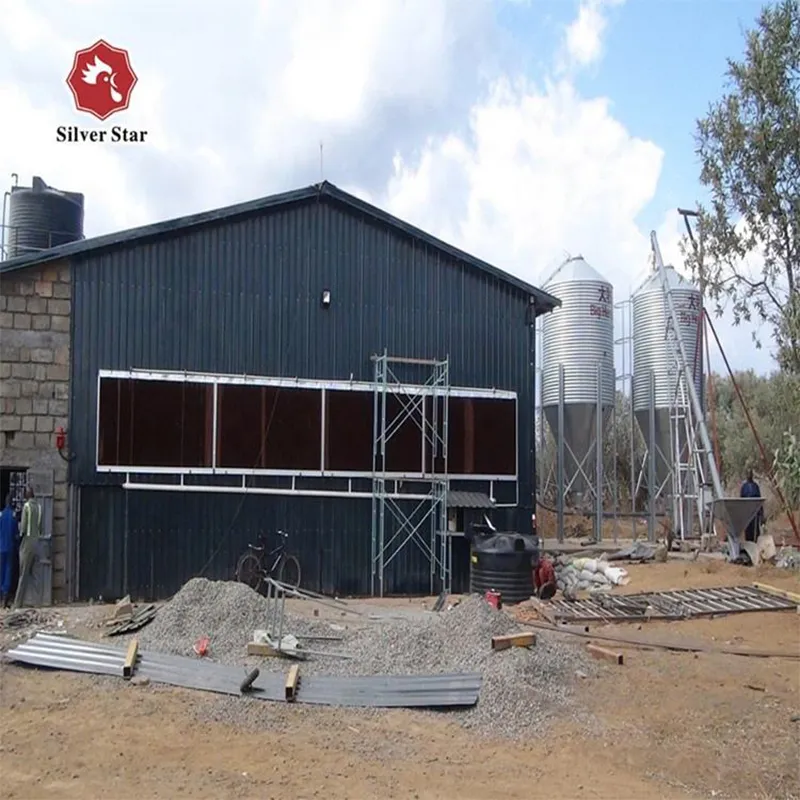 6-ярусная Н-образная клетка для выращивания цыплят-бройлеров (1)