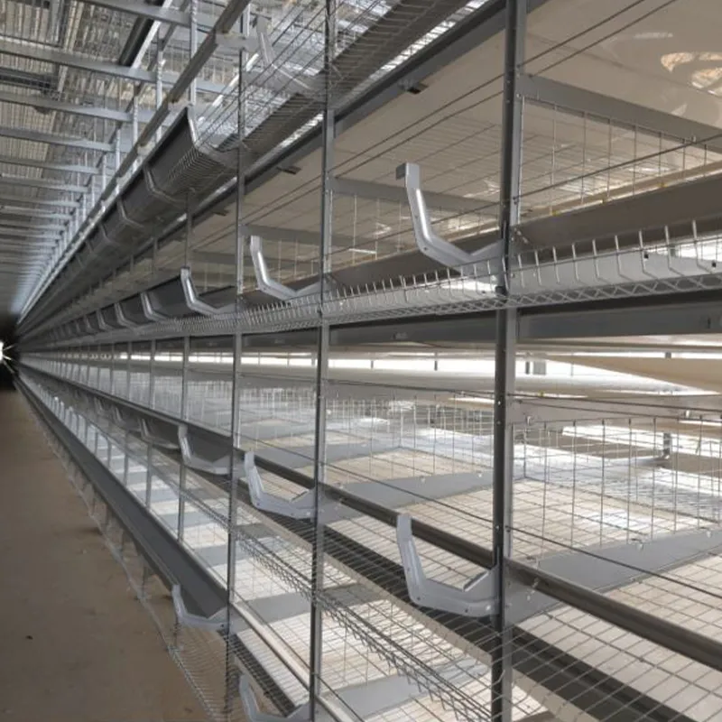 6-ярусная Н-образная клетка для выращивания цыплят-бройлеров (3)