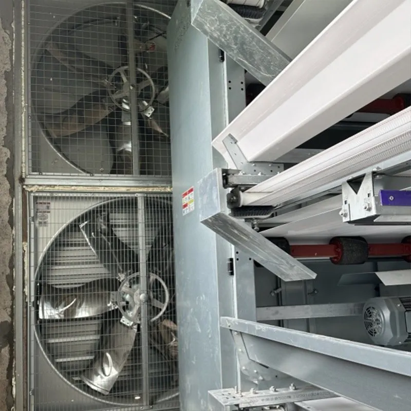 8-ярусная батарейная клетка для кур-несушек (2)