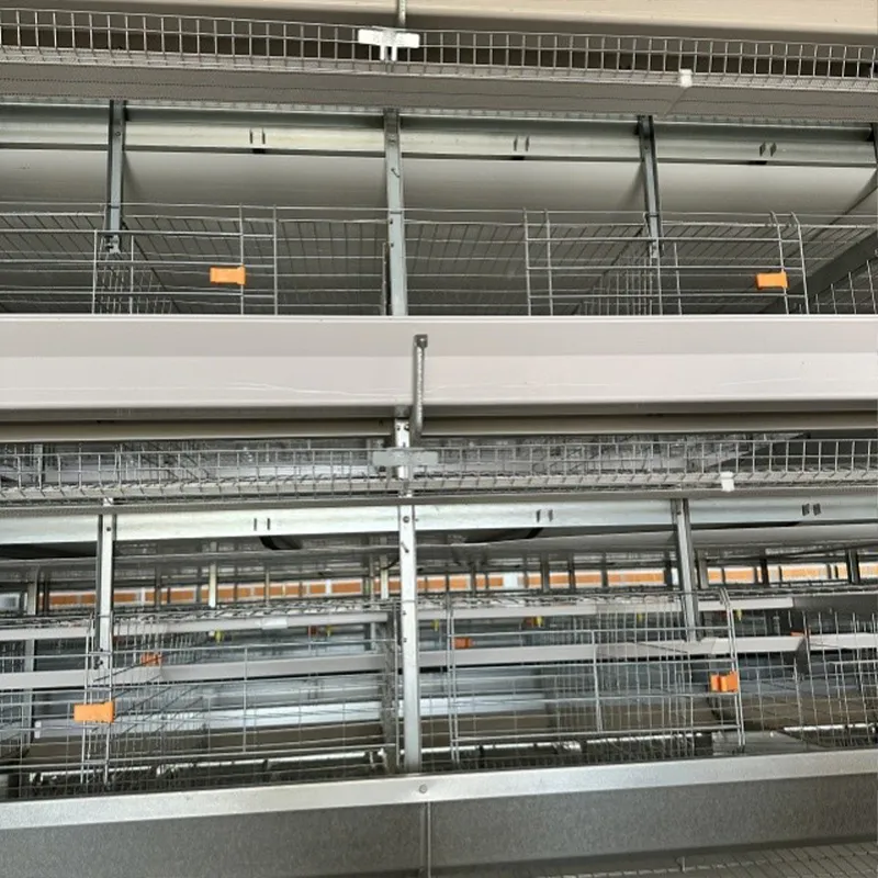 8-ярусная батарейная клетка для кур-несушек (3)