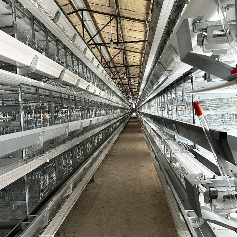 8-ярусная батарейная клетка для кур-несушек (4)