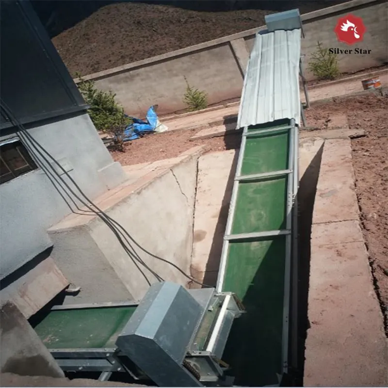 Автоматическая система удаления помёта толщиной 6 мм (1)