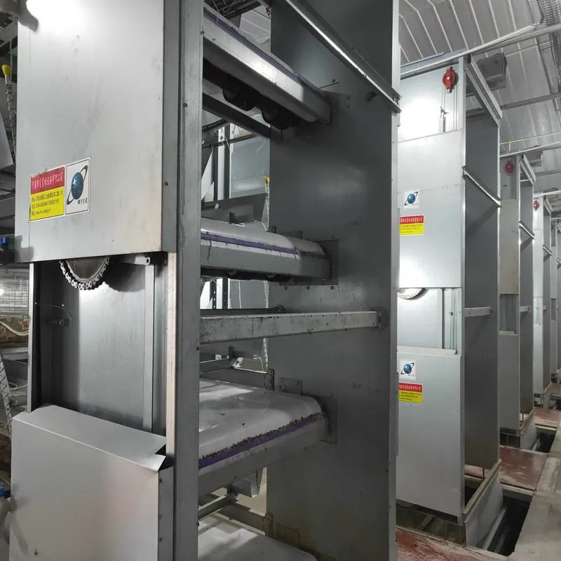 Клетка для бройлеров на 208 голов (5)