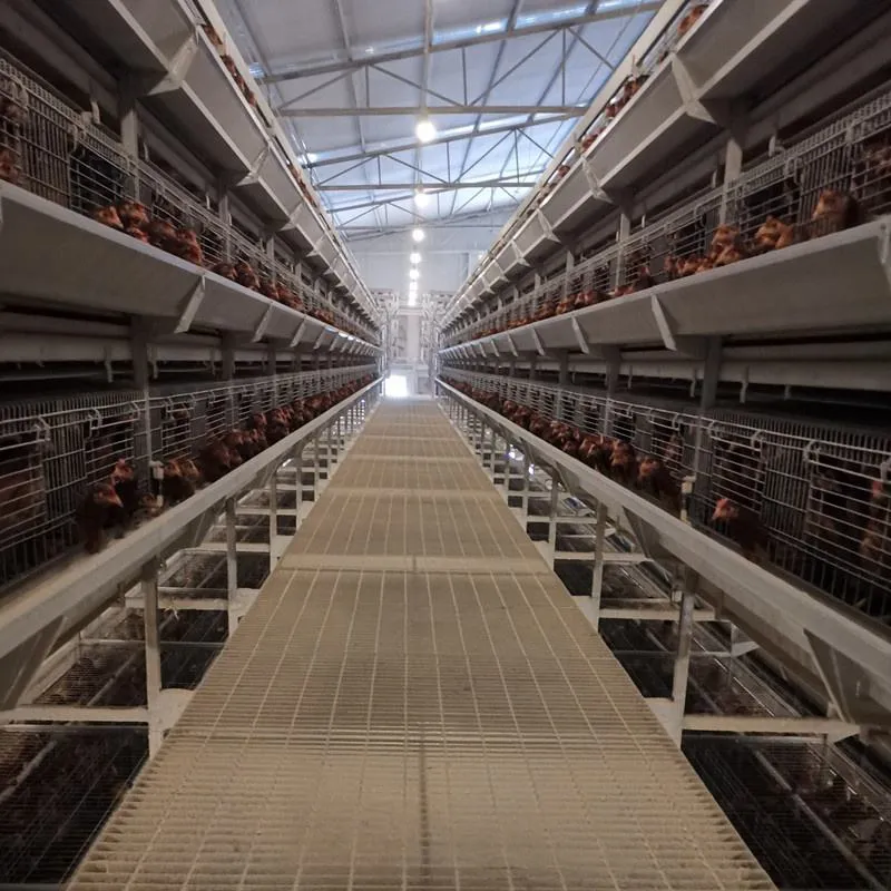 Клетка для кур-несушек размером 650×625×500 мм (2)