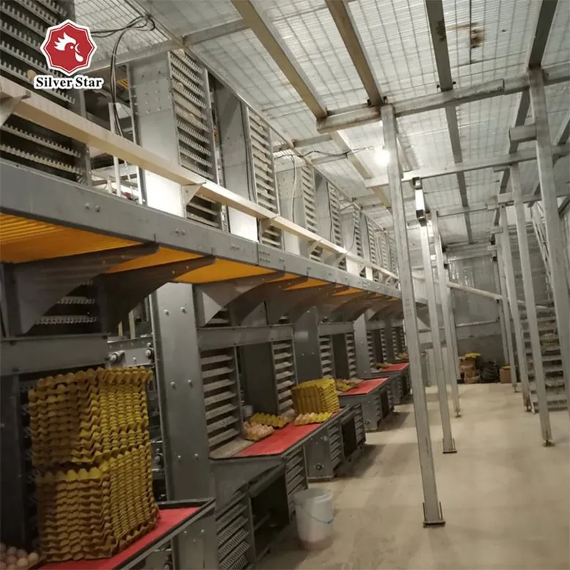 Клетка для птицы ISO9001 (5)