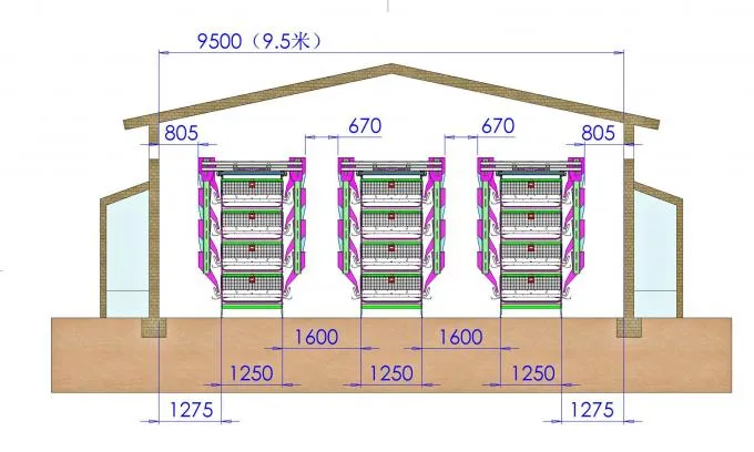 Клетки для 30 000 кур-несушек (4)
