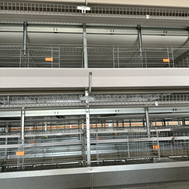 Полностью автоматические клетки для несушек для современных ферм (3)