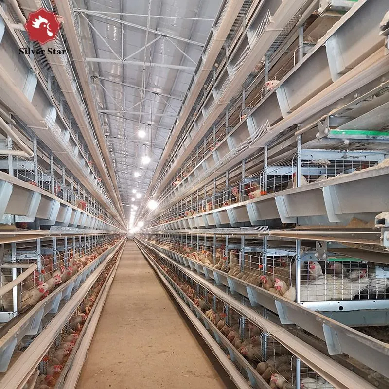 Полностью автоматические клетки для несушек для современных ферм (5)