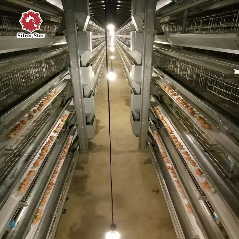 Система сбора яиц с жёлобом 10 см (2)